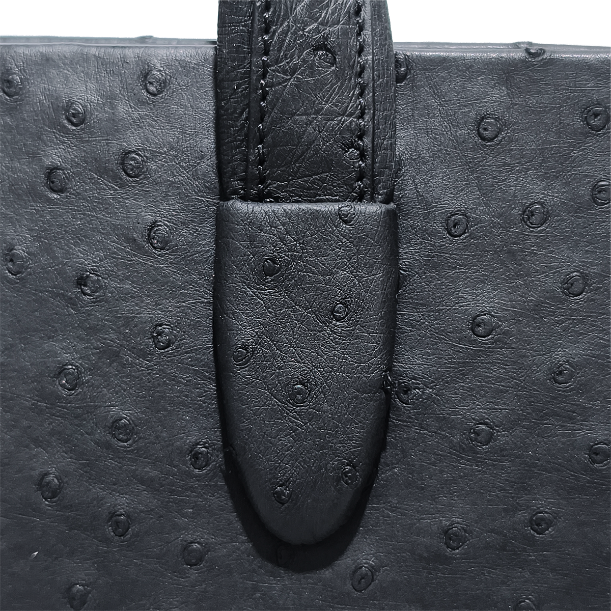 Handmade Genuine Ostrich Leather Briefcase, Matte Black with Silver Hardware & Top-Handle Design