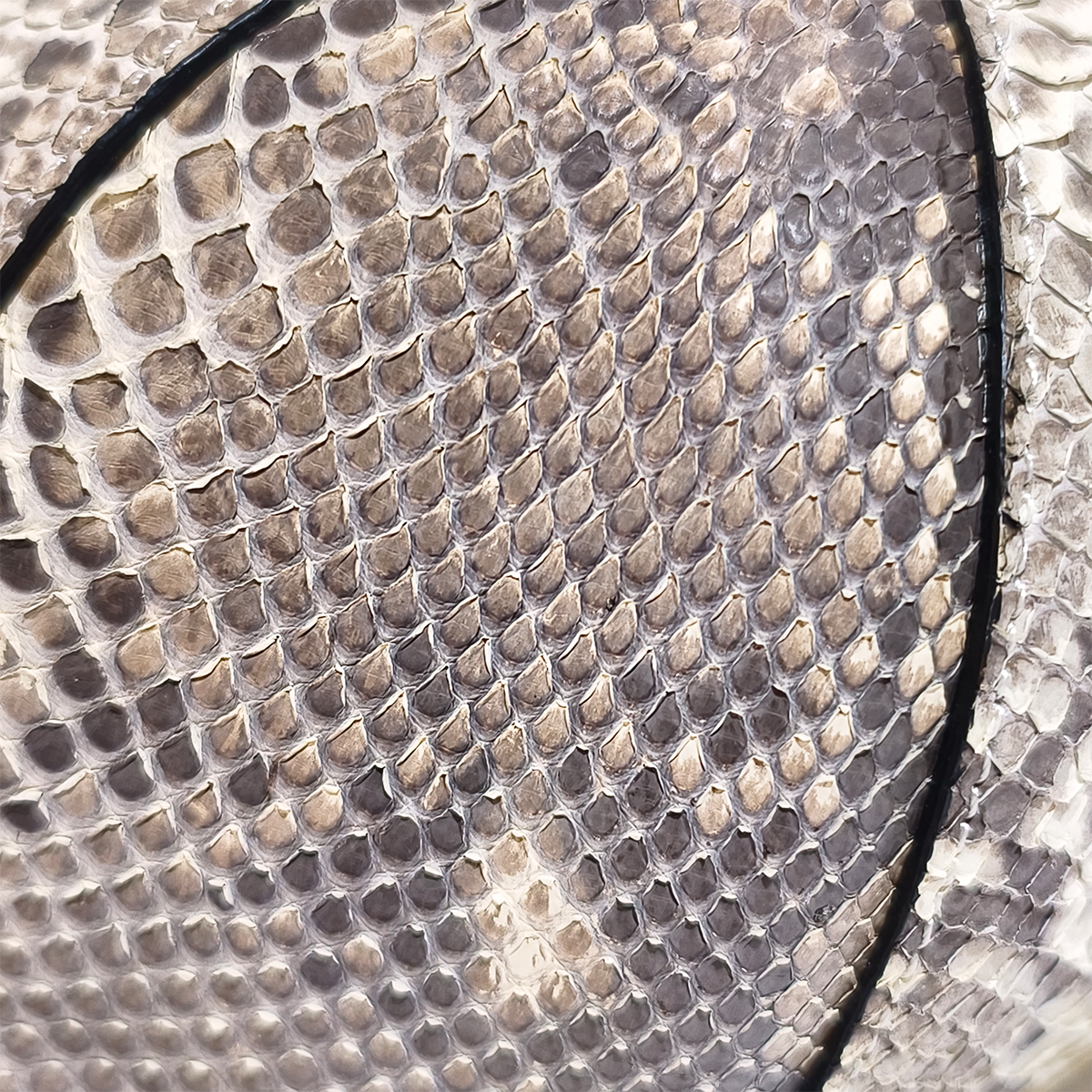 Handmade Genuine Python Leather Cap, Artisanal Adjustable Natural Texture Design